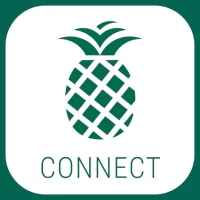 Ananas Connect