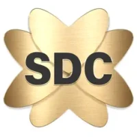 SDC 浪荡公子生活方式约会