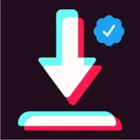 SnapTik - Protector de vídeos de TikTok