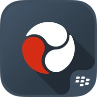 BlackBerry ワークスペースのダイナミクス