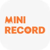 MINI RECORD