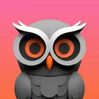 Twitly pentru Instagram și Twitter