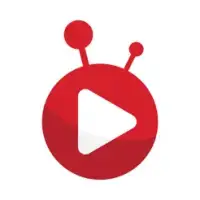 Bongo: Filme, serie și sport
