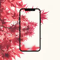 Offline Auto Wallpaper Changer