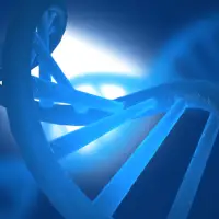 Double Helix (Gold)