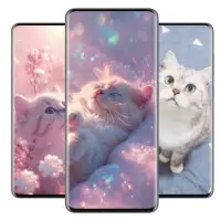 Cute Cat Wallpaper