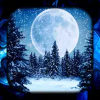 Winter Night Live Wallpaper
