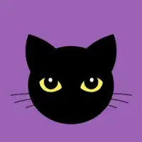 Anonymous Phone Chat App - Anonym