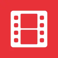 DS video