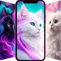 Cute Cat Wallpaper