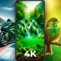 Cool Green Wallpapers 4K - HD