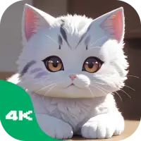 Cute Cat Wallpapers - 4K